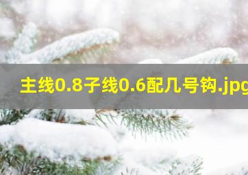 主线0.8子线0.6配几号钩