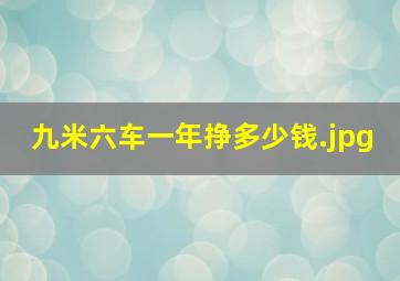 九米六车一年挣多少钱