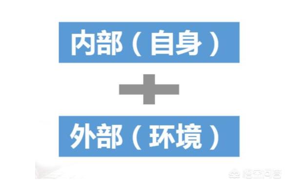 高一3+1+2物化生和物化地赋分制情况下，选哪个更容易得高分？