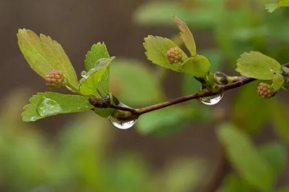 2023年秋季雨水多还是雨水少2