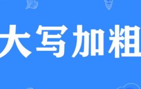 “大写加粗”是什么意思