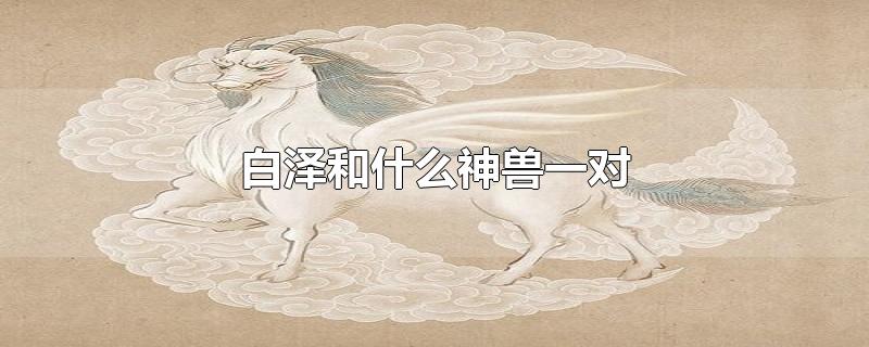 白泽和什么神兽一对