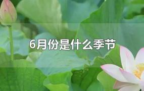 6月份是什么季节