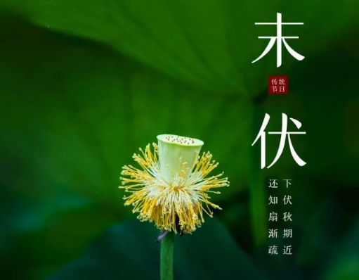 末伏过了是什么节气3