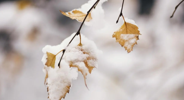 2023年11月去北京能看到雪吗2