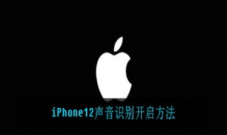 iPhone12如何开启声音识别