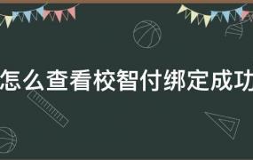 怎么查看校智付绑定成功