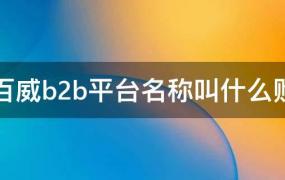 百威b2b平台名称叫什么购