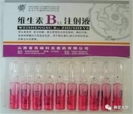 维生素B12