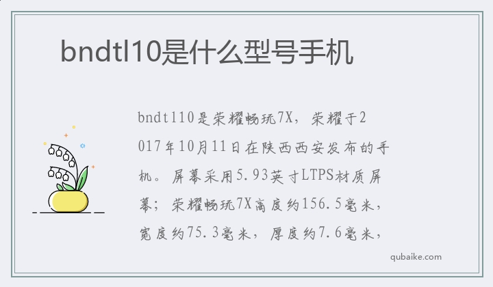 bndtl10是什么型号手机