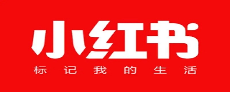 小红书kol和koc的意思