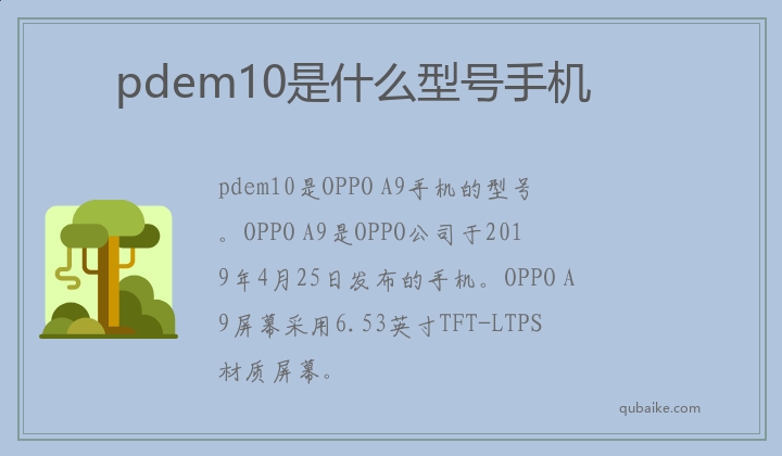 pdem10是什么型号手机