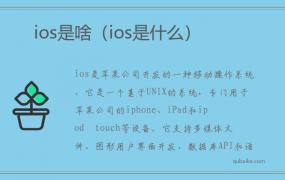 ios是啥（ios是什么）