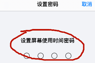 iPhone12怎么设置屏幕使用时间的密码 iPhone12启用为屏幕使用时间密码方法截图