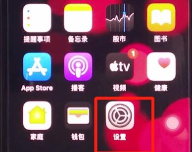 iphone11中开启旁白的方法步骤截图