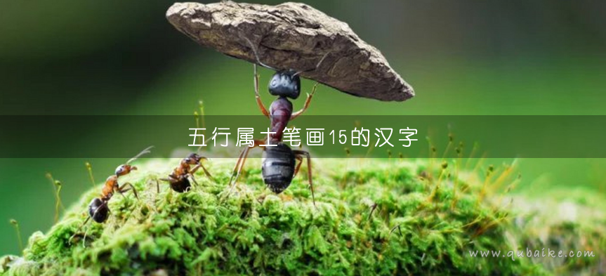 五行属土笔画15的汉字 15画属土的字有哪些