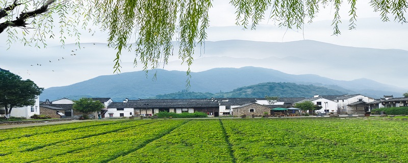 又绿江南岸前面两个是什么字 《泊船瓜洲》原文