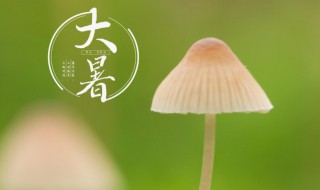 大暑节气的寓意和传统 大暑节气有何寓意