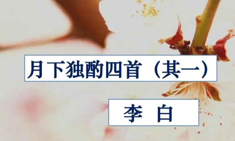 花间一壶酒下一句是什么