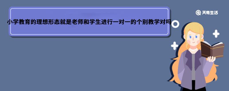 小学教育的理想形态就是老师和学生进行一对一的个别教学对吗