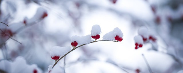 节气什么意思 节气的简介