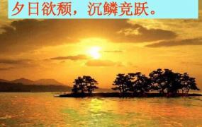 夕日欲颓是什么意思