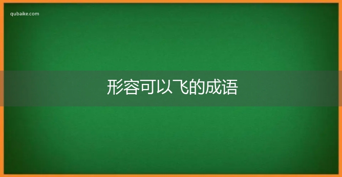 形容可以飞的成语