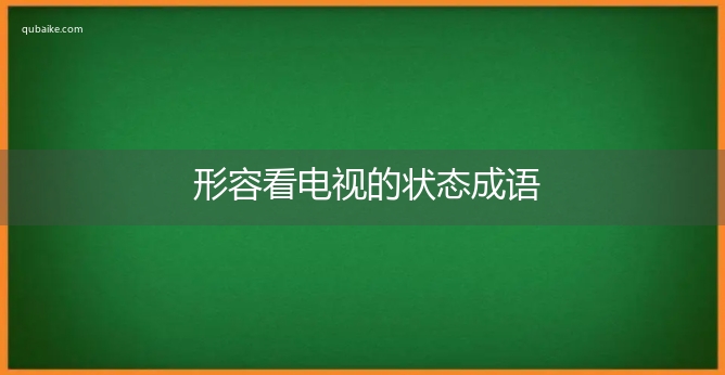 形容看电视的状态成语