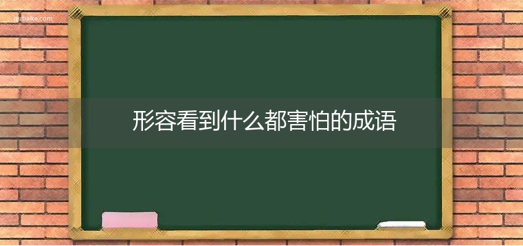 形容看到什么都害怕的成语