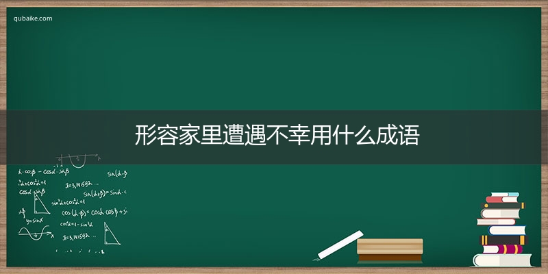 形容家里遭遇不幸用什么成语