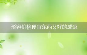 形容价格便宜东西又好的成语