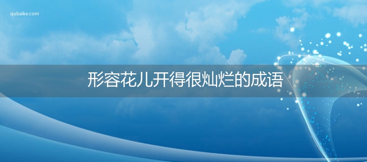 形容花儿开得很灿烂的成语