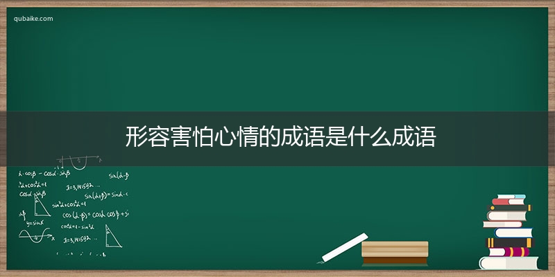 形容害怕心情的成语是什么成语