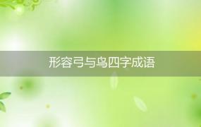 形容弓与鸟四字成语