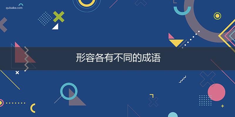 形容各有不同的成语