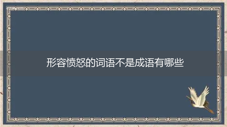 形容愤怒的词语不是成语有哪些