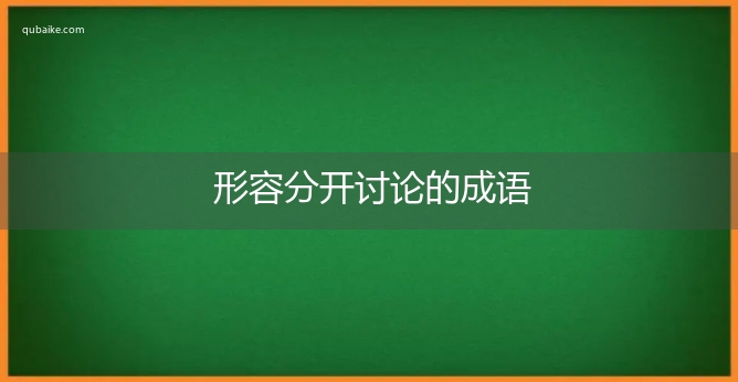 形容分开讨论的成语