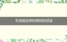 形容刚发芽的柳树的成语