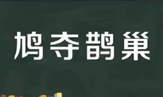 鸠夺鹊巢什么意思 鸠夺鹊巢怎么读