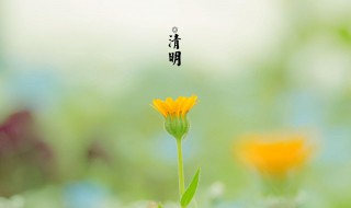 清明时节雨纷纷的纷纷什么意思 清明时节雨纷纷出自哪里