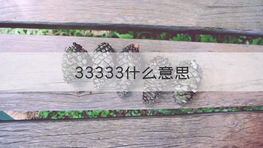 33333 33333什么意思（知识科普）