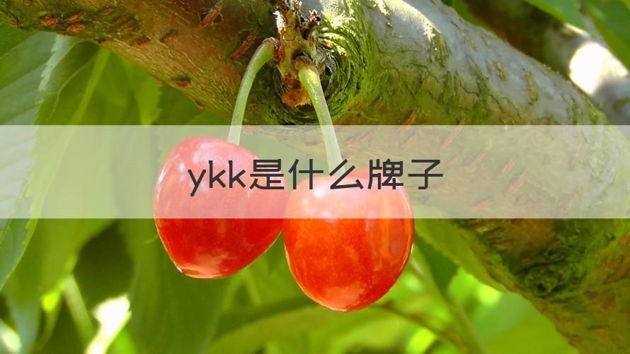 ykk是什么牌子（介绍）