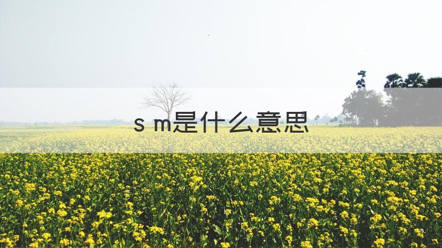 sm m是什么意思（干货）