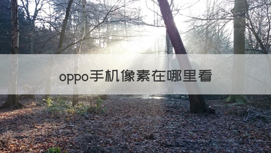 oppo手机像素在哪里看 （干货）