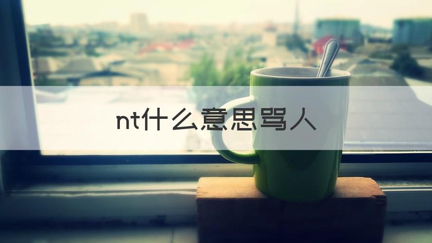 骂人nt是什么意思 nt什么意思骂人（回答）