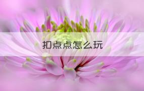 扣点点 扣点点怎么玩（介绍）