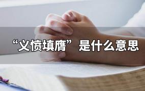 义愤填膺什么意思