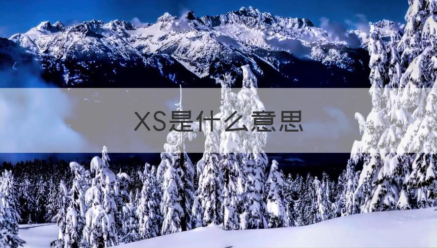 xs啥意思 XS是什么意思（科普）