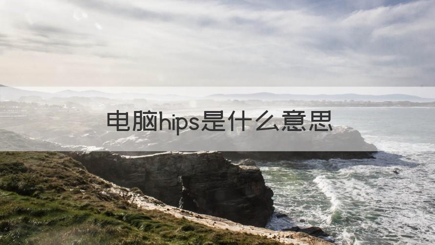 hips是什么意思 电脑hips是什么意思（介绍）