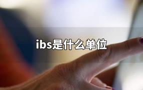 ibs是什么单位